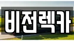 비전렉카