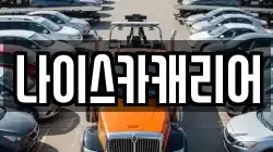 나이스카캐리어