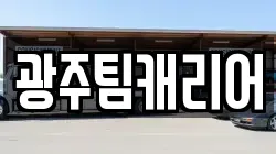 광주팀캐리어