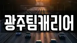 광주팀캐리어