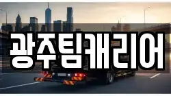 광주팀캐리어