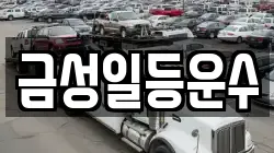 금성일등운수