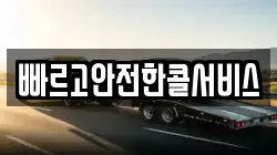 빠르고안전한콜서비스