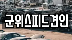 군위스피드견인
