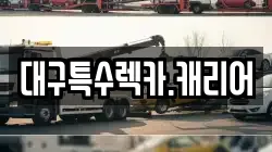 대구특수렉카.캐리어