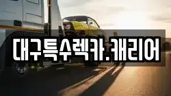 대구특수렉카.캐리어
