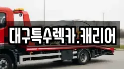 대구특수렉카.캐리어