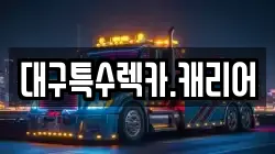 대구특수렉카.캐리어