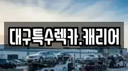 대구특수렉카.캐리어