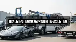 빠른대리운전기사호출차량탁송대리기사일일대리기사