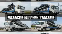 빠른대리운전기사호출차량탁송대리기사일일대리기사