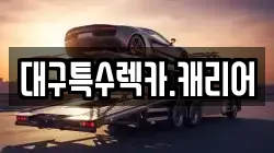 대구특수렉카.캐리어