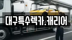 대구특수렉카.캐리어