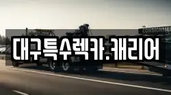 대구특수렉카.캐리어