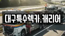 대구특수렉카.캐리어
