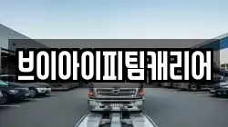 브이아이피팀캐리어