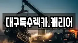대구특수렉카.캐리어