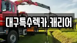대구특수렉카.캐리어