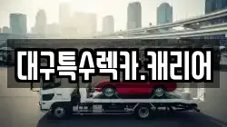 대구특수렉카.캐리어
