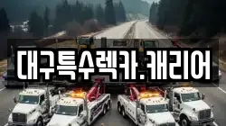 대구특수렉카.캐리어