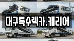 대구특수렉카.캐리어