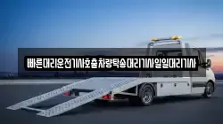 빠른대리운전기사호출차량탁송대리기사일일대리기사