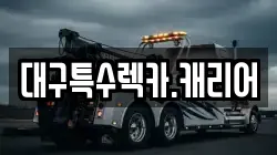 대구특수렉카.캐리어