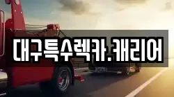 대구특수렉카.캐리어