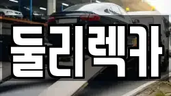 둘리렉카