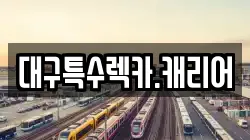 대구특수렉카.캐리어