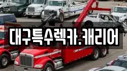 대구특수렉카.캐리어