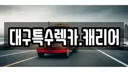 대구특수렉카.캐리어