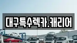 대구특수렉카.캐리어