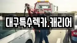 대구특수렉카.캐리어