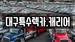 대구특수렉카.캐리어