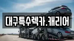 대구특수렉카.캐리어