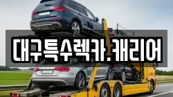 대구특수렉카.캐리어