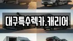 대구특수렉카.캐리어