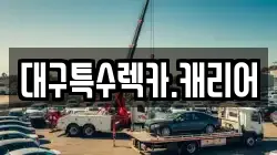 대구특수렉카.캐리어