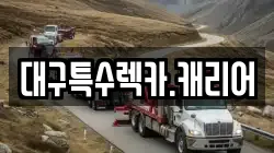 대구특수렉카.캐리어