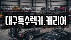 대구특수렉카.캐리어
