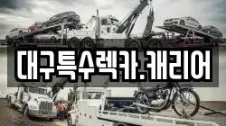 대구특수렉카.캐리어