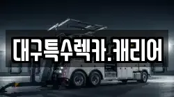 대구특수렉카.캐리어