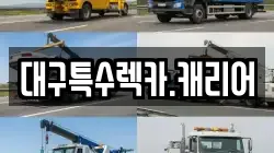 대구특수렉카.캐리어