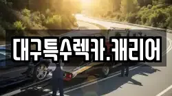 대구특수렉카.캐리어