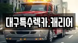 대구특수렉카.캐리어