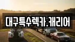 대구특수렉카.캐리어