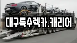 대구특수렉카.캐리어