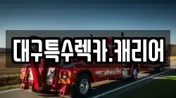 대구특수렉카.캐리어