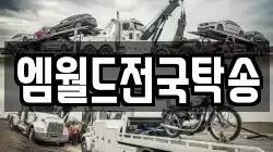 엠월드전국탁송